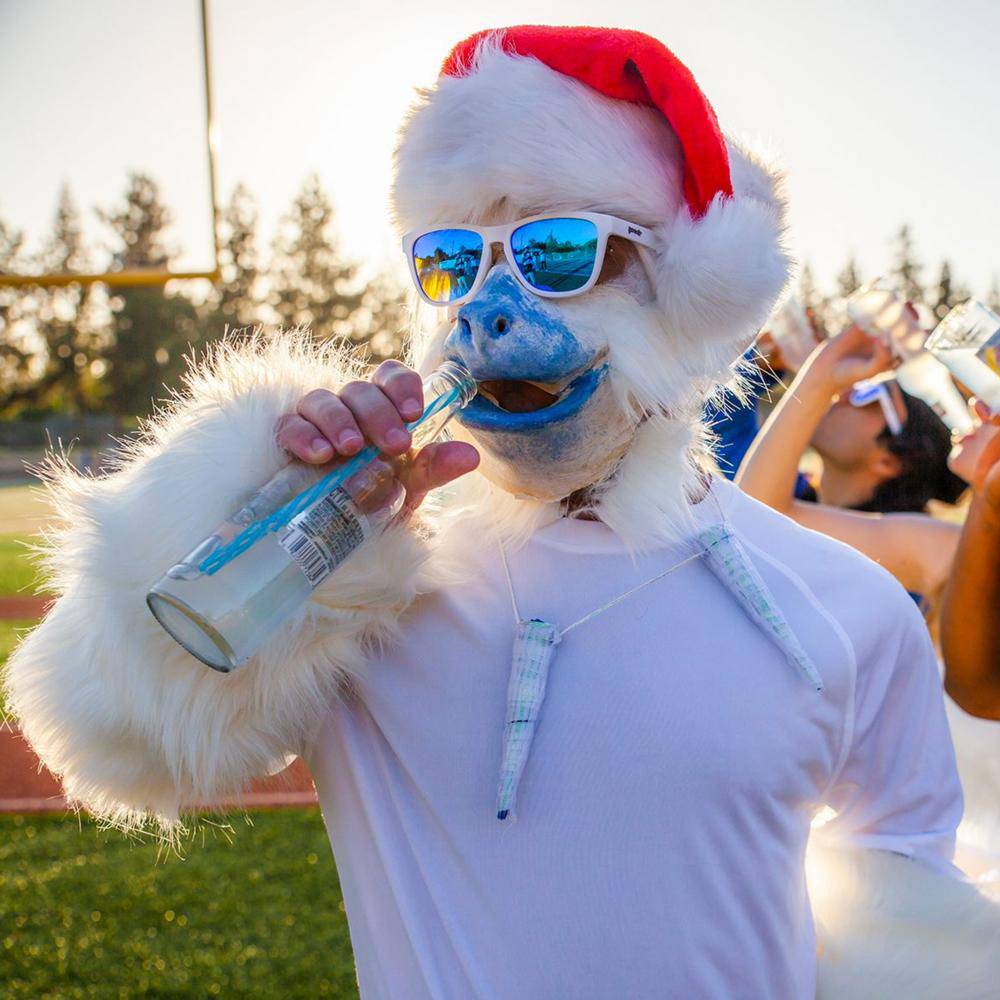 Iced by Yetis - Fitness New Zealand