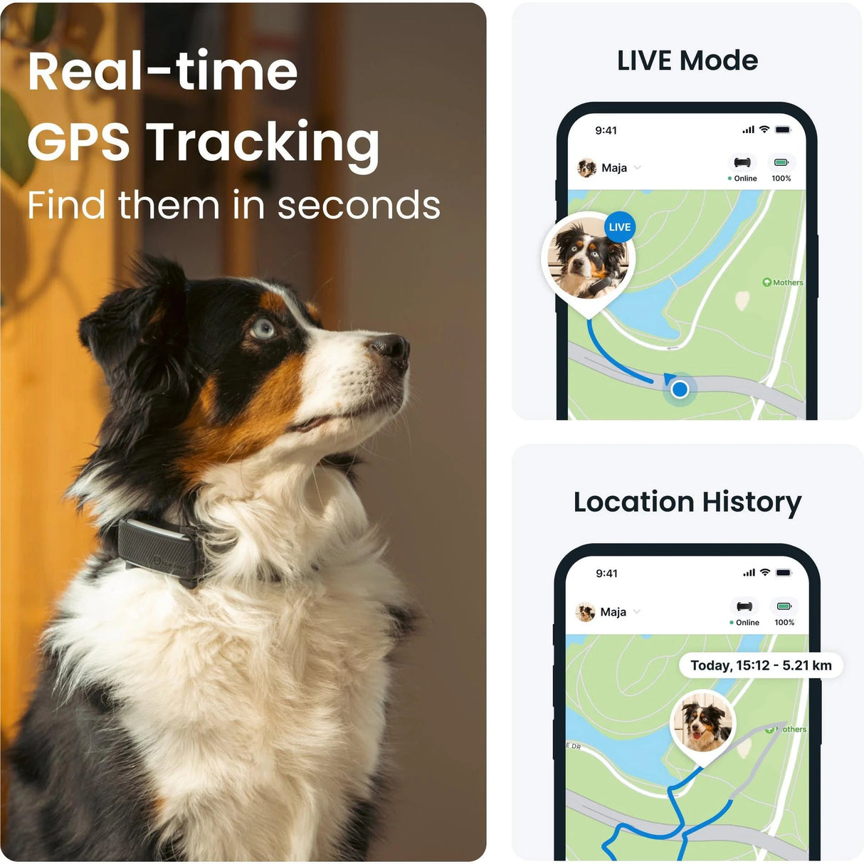 Tractive GPS Tracker Dog 6 (Black) - Fitness New Zealand
