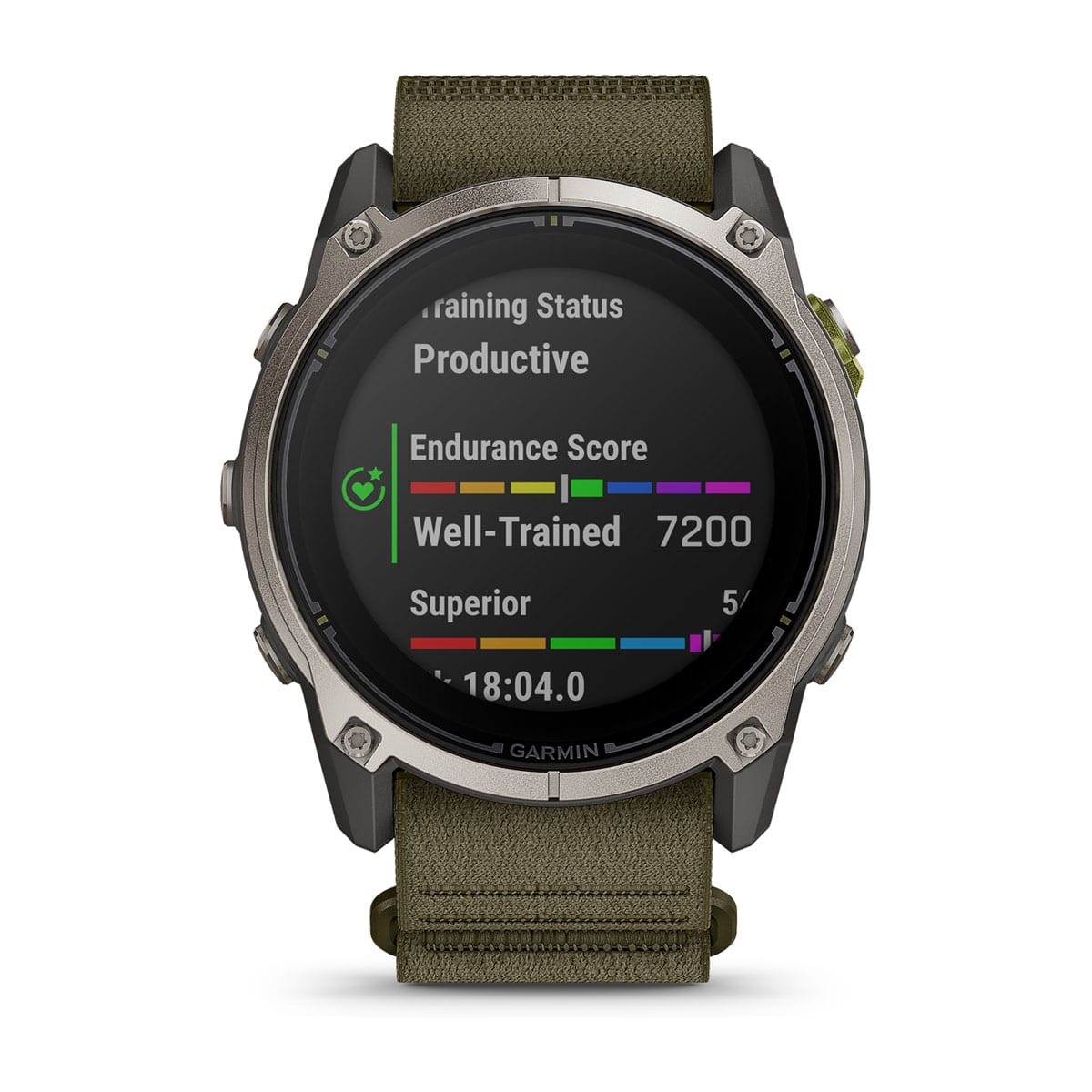 Garmin Enduro 4
