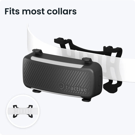 Tractive GPS Tracker Dog 6 (Black) - Fitness New Zealand