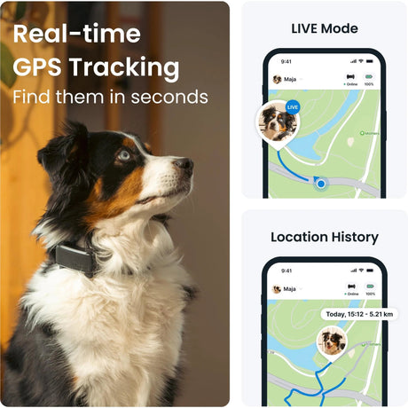 Tractive GPS Tracker Dog 6 (Black) - Fitness New Zealand