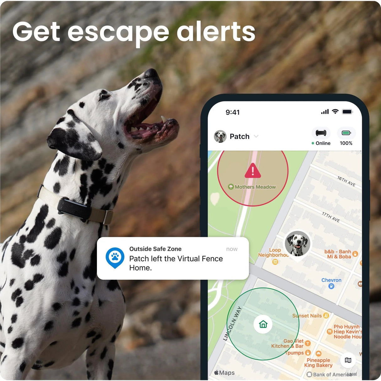Tractive GPS Tracker Dog 6 (Black) - Fitness New Zealand