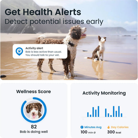 Tractive GPS Tracker Dog 6 (Black) - Fitness New Zealand